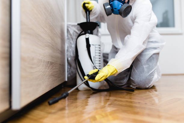 Best Best Pest Control Companies  in Tuba City, AZ