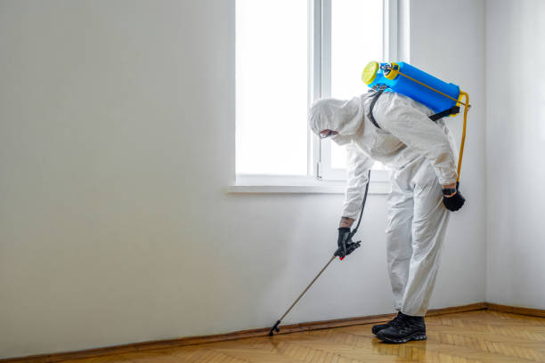 Best Mosquito Control Services  in Tuba City, AZ