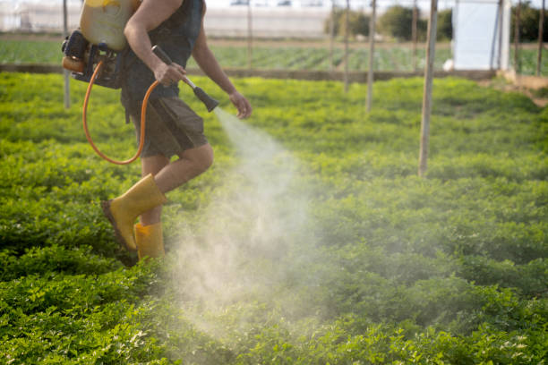 Best Pest Control Near Me  in Tuba City, AZ