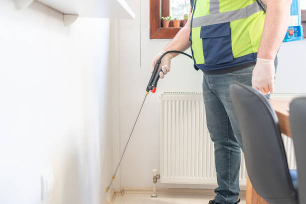 Professional Pest Control in Tuba City, AZ