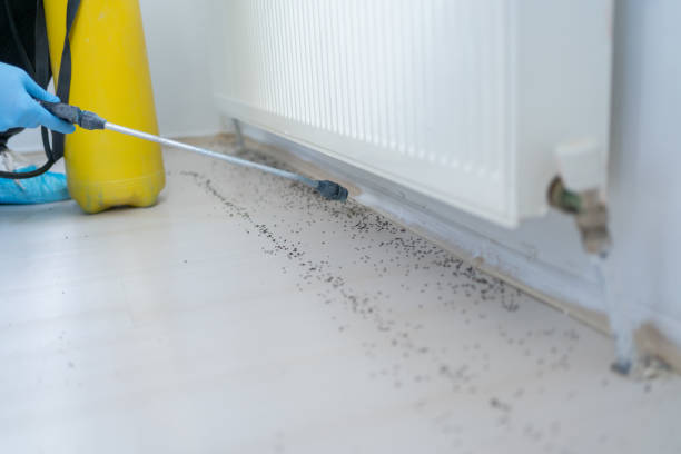 Best Mosquito Control Services  in Tuba City, AZ