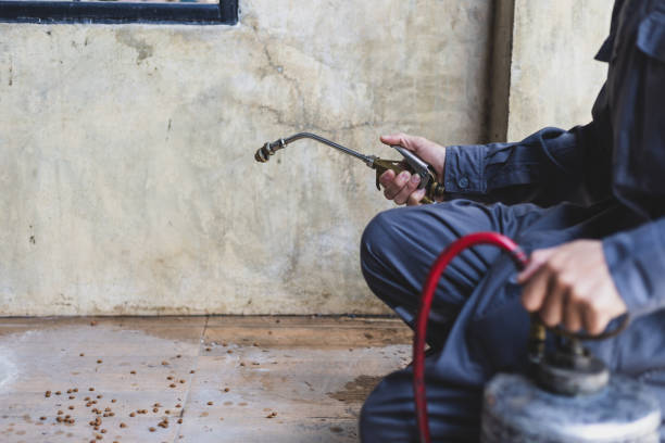 Best Pest Prevention Services  in Tuba City, AZ